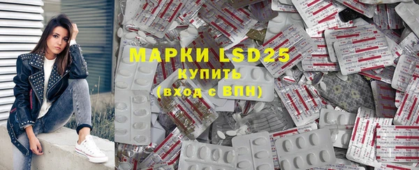 прущие грибы Костерёво