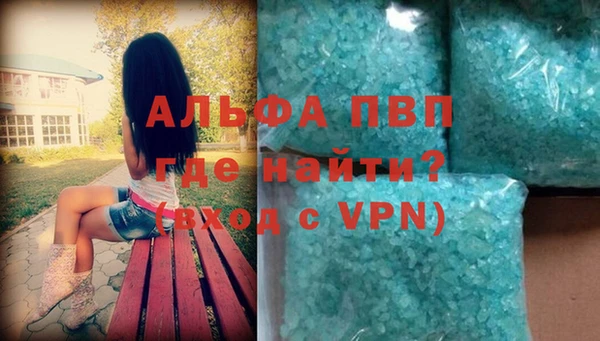 прущие грибы Костерёво