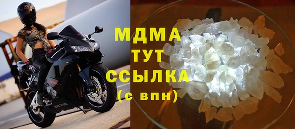 прущие грибы Костерёво
