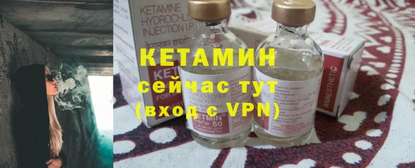 прущие грибы Костерёво