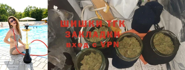прущие грибы Костерёво