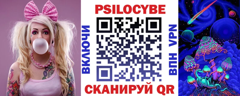 закладка  Кириллов  Псилоцибиновые грибы Psilocybine cubensis 